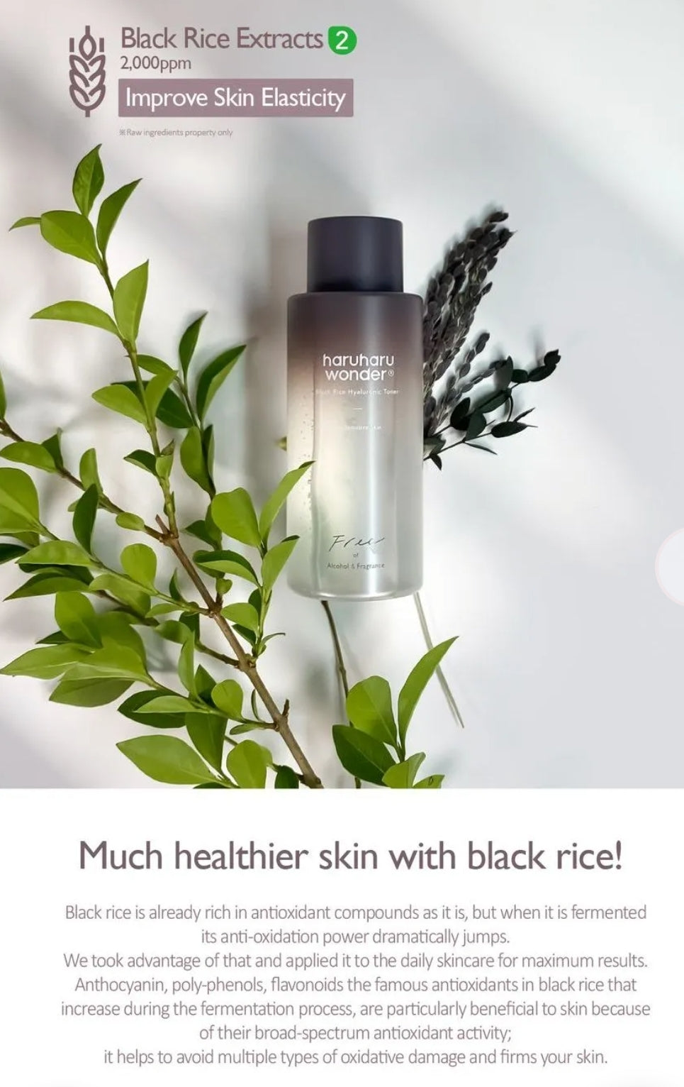Haruharu WONDER - Black Rice Hyaluronic Toner Fragrance Free CPNP Notified 150ml
