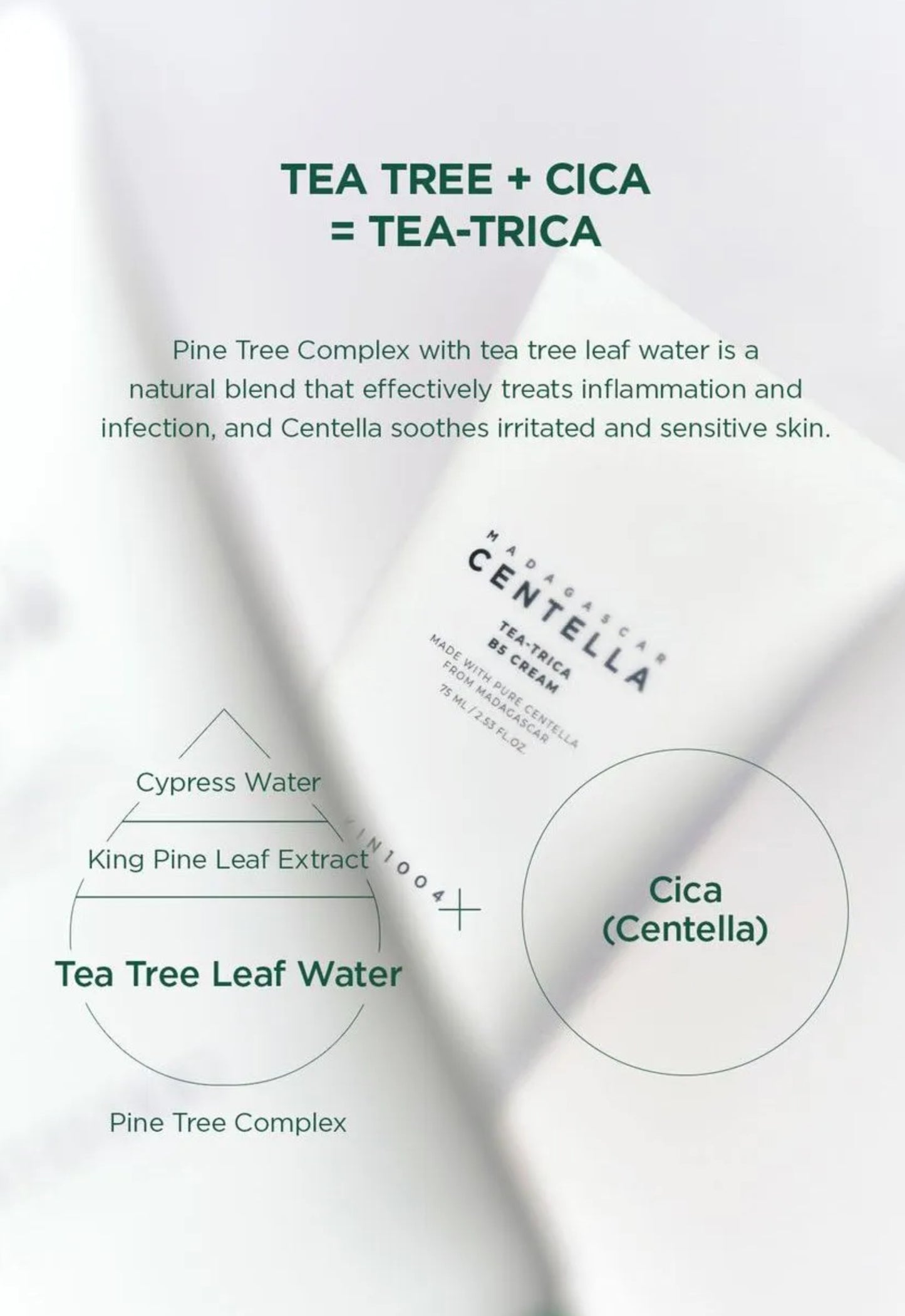 SKIN 1004 - Madagascar Centella Tea-Trica B5 Cream 75ml