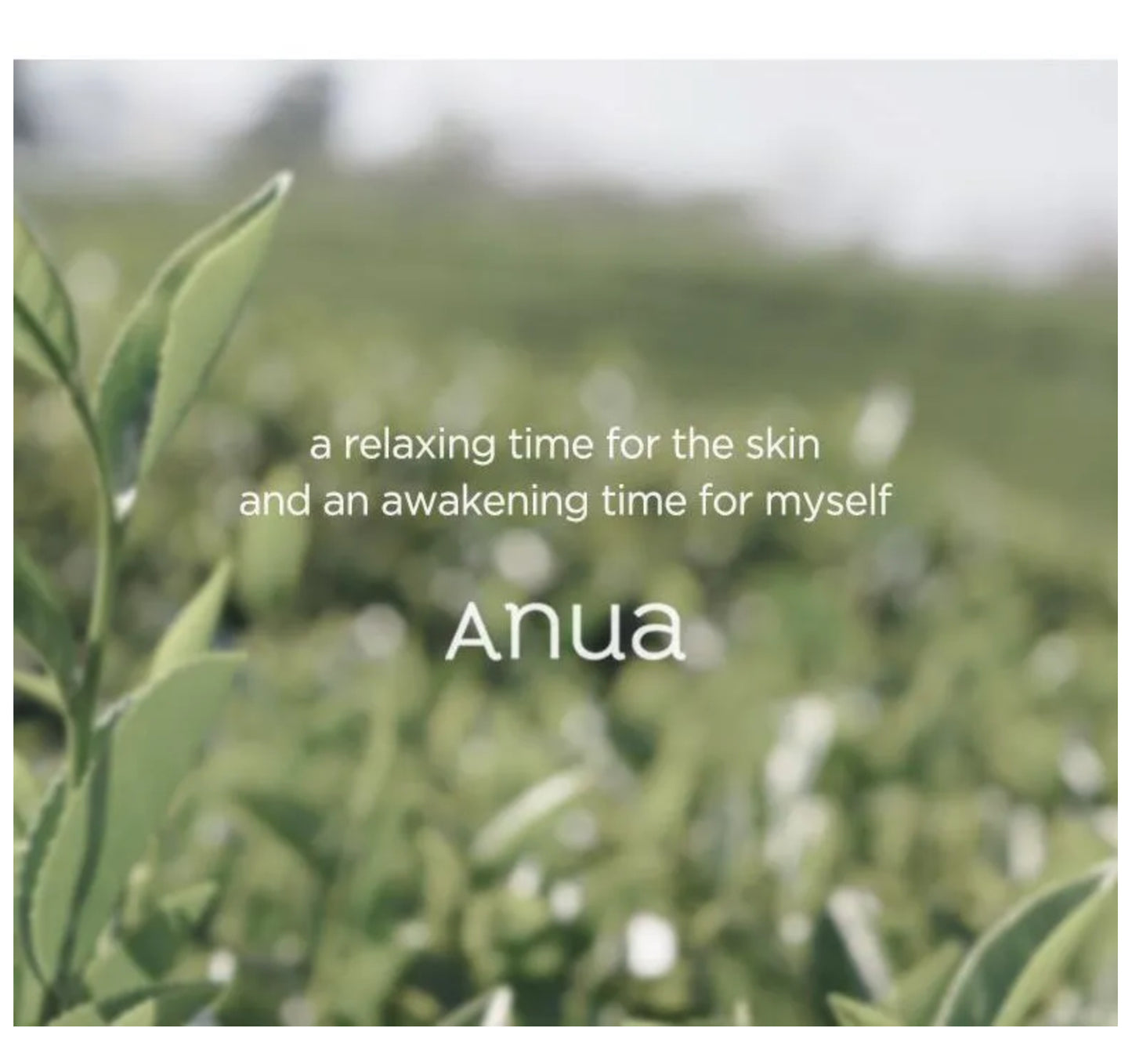 Anua - Heartleaf 80% Soothing Ampoule 30 ml